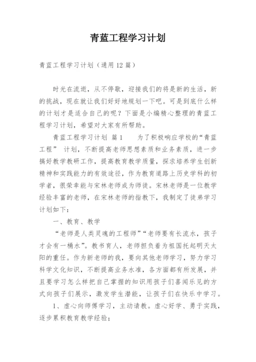 青蓝工程学习计划_1.docx