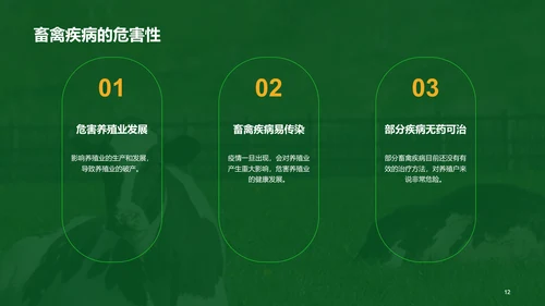 绿色现代养殖流程管理与疾病预防PPT模板