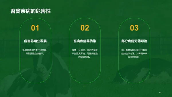 绿色现代养殖流程管理与疾病预防PPT模板