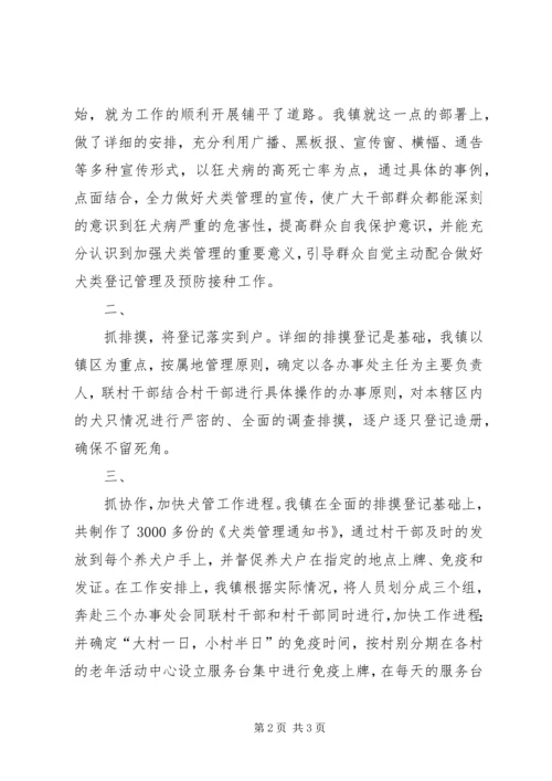 犬只管理汇报材料 (7).docx