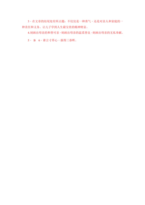 统编版语文五年级下册第七单元专题   课件