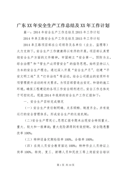 广东XX年安全生产工作总结及XX年工作计划.docx