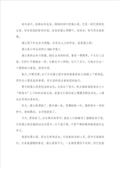 蒲公英小学生说明文500字