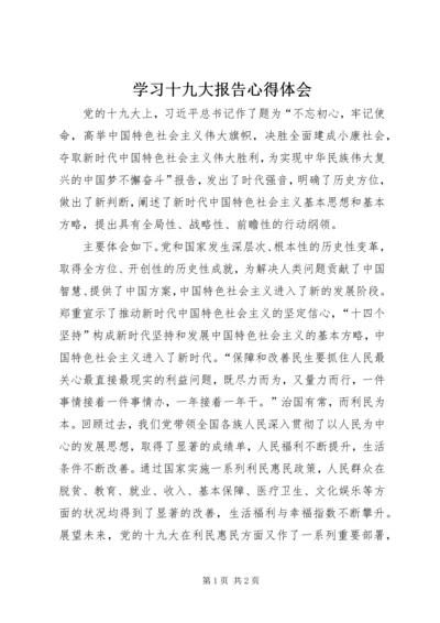 学习十九大报告心得体会 (26).docx