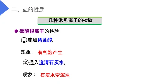 生活中常见的盐初高中化学PPT课件