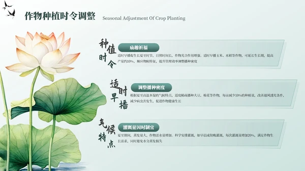 墨绿色中国风夏至节气PPT模板