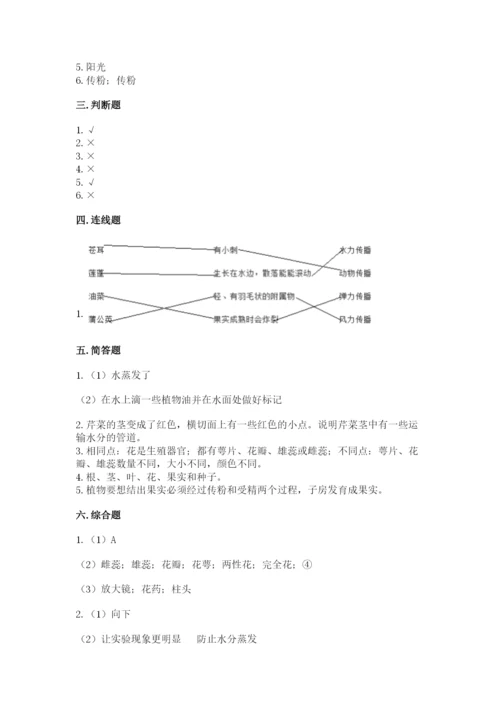 教科版科学四年级下册第一单元《植物的生长变化》测试卷word版.docx