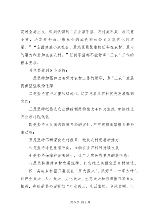 全国两会精神宣讲实施乡村振兴战略.docx