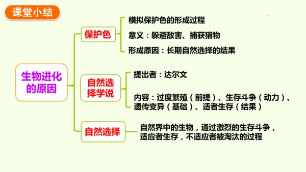 7.3.3生物进化的原因-八年级生物人教版下学期同步精品课件(共44张PPT)