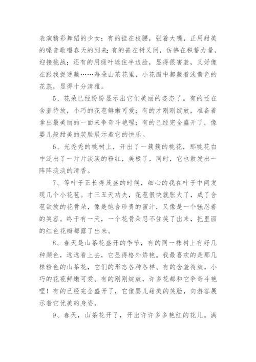 描写茶花的好词好句好段.docx