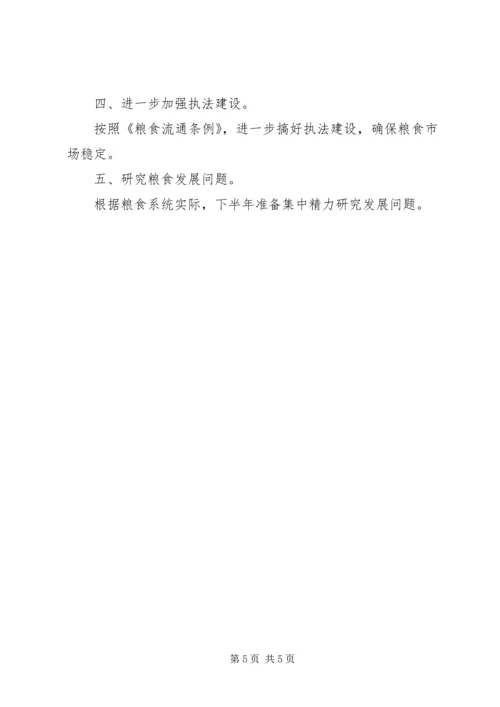 市粮食局安全上半年总结及下半年计划.docx