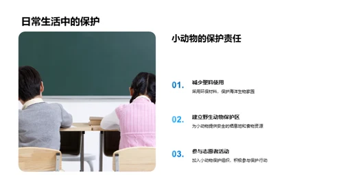 小动物的生存与进化