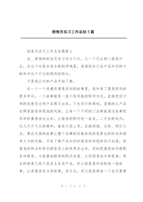 销售员实习工作总结5篇.docx