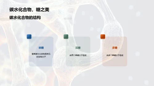 生物分子的结构与功能