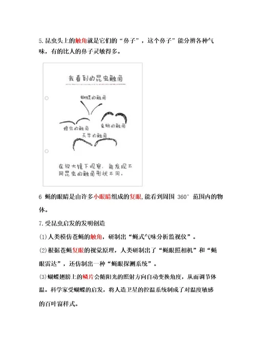 教科版六年级科学上册第一单元《微小世界》