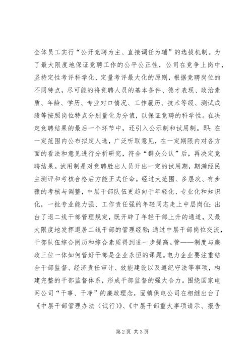 供电公司干部队伍建设经验交流材料 (3).docx