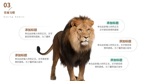 猎豹动物世界花豹科普介绍，豹子通用PPT模板