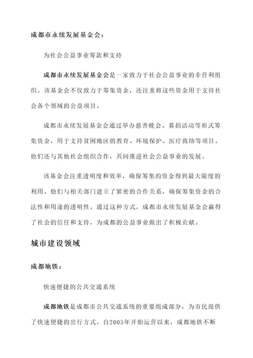 成都报刊封发先进事迹材料