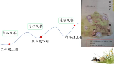 11 蟋蟀的住宅（课件）