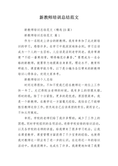 新教师培训总结范文.docx