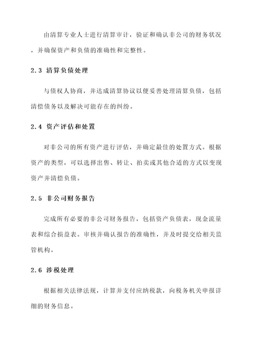 非公司清算方案