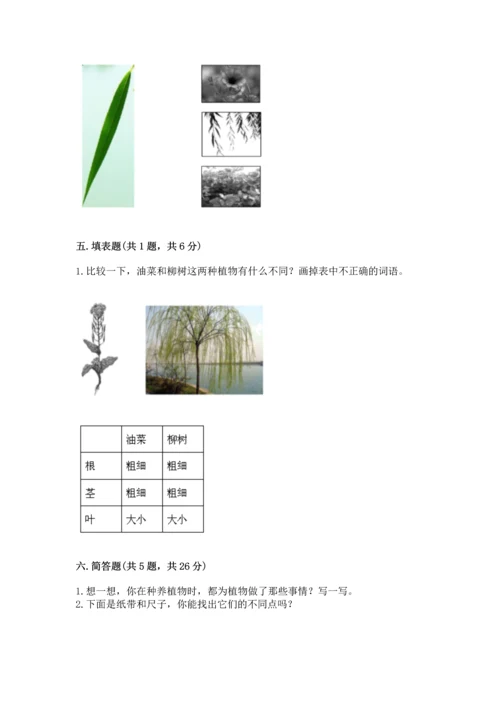 教科版科学一年级上册期末测试卷精品（精选题）.docx