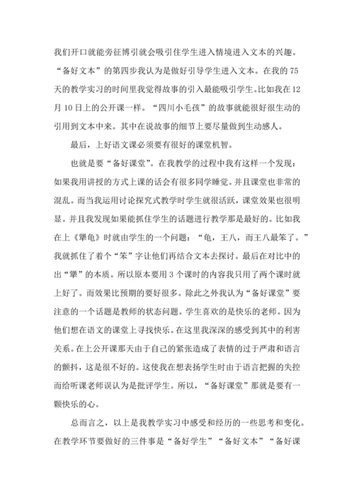 汉语言文学实习心得体会4篇.docx