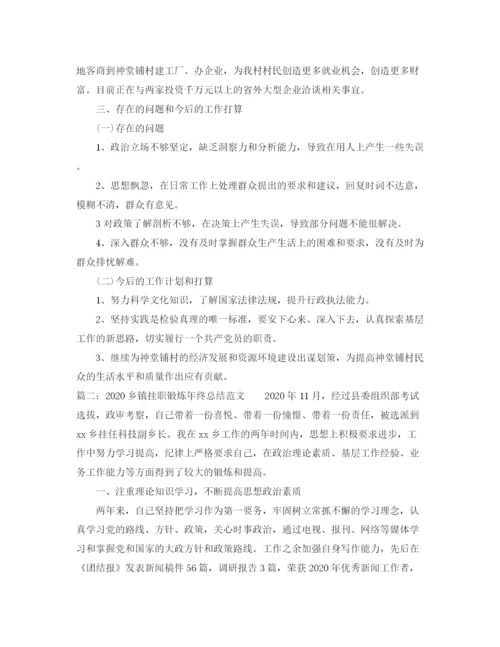 精编之乡镇挂职锻炼年终总结范文.docx