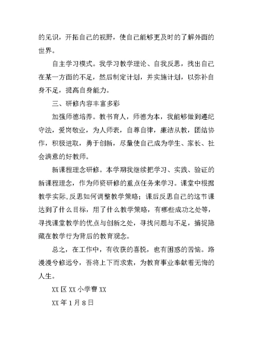 XX年度教师个人发展研修总结