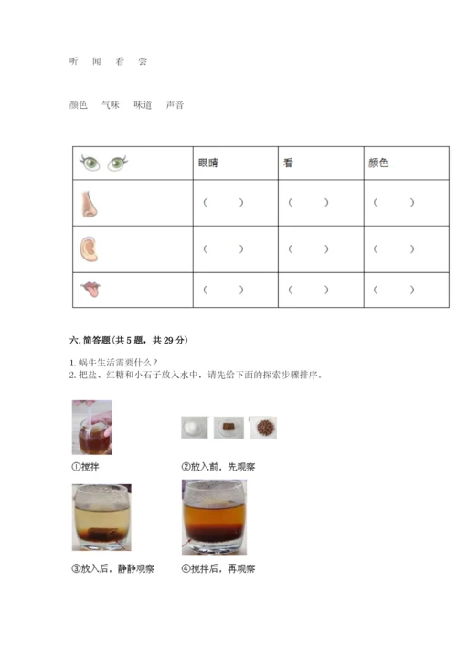 教科版一年级下册科学期末测试卷（典型题）.docx