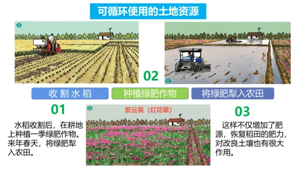 3.1 自然资源的基本特征（课件38张）-人教版八年级地理上册