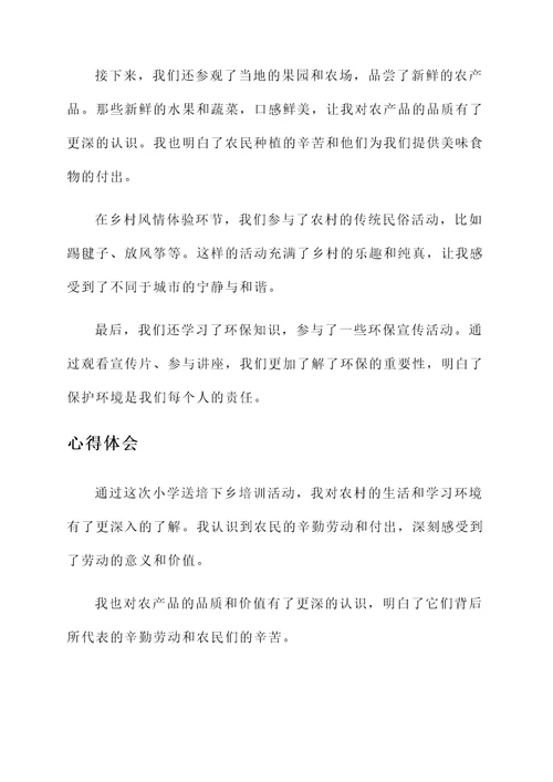 小学送培下乡培训心得