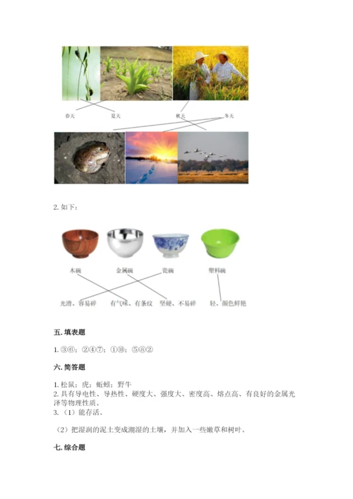 教科版小学二年级上册科学期末测试卷含答案【轻巧夺冠】.docx