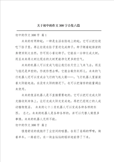 关于初中的作文300字合集六篇