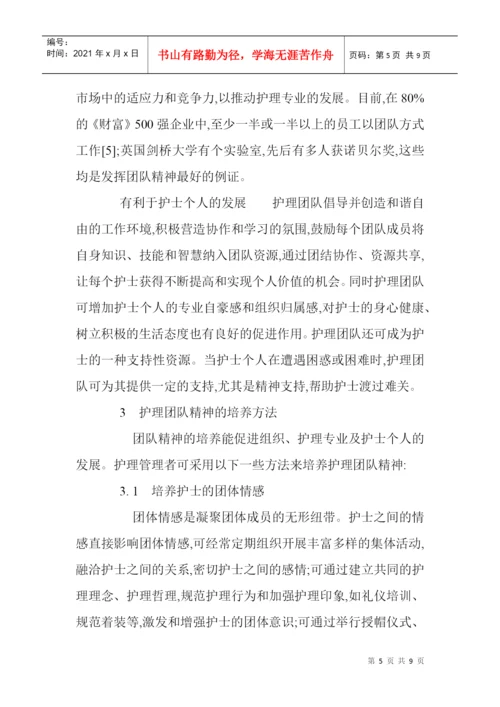 打造高绩效团队论文团队精神论文医学护理论文：护理团队精神的培养.docx