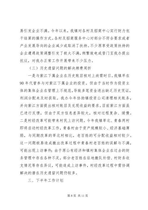 经发办上半年工作总结及下半年工作计划 (2).docx