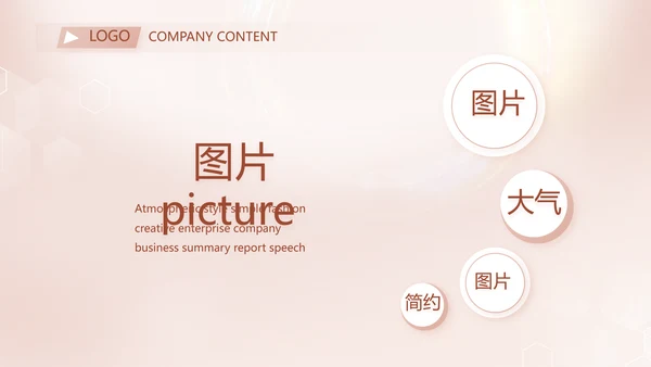 轻奢女神微整形医院介绍工作总结PPT