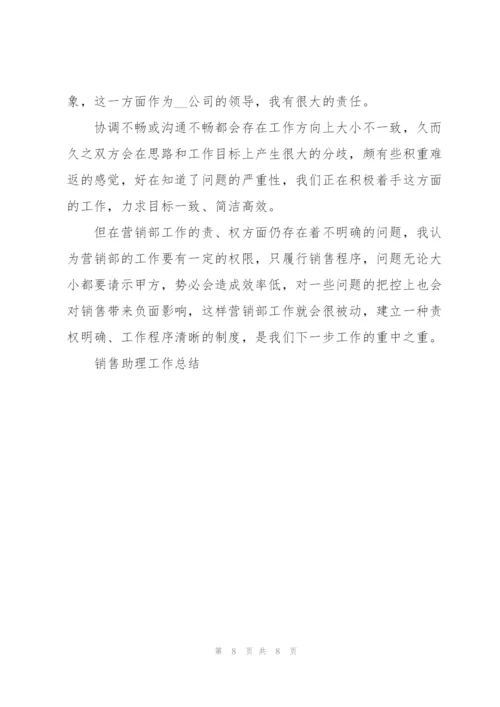 销售助理年度工作总结（个人通用）.docx