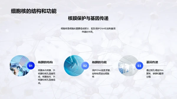 商务风生物医疗教学课件PPT模板