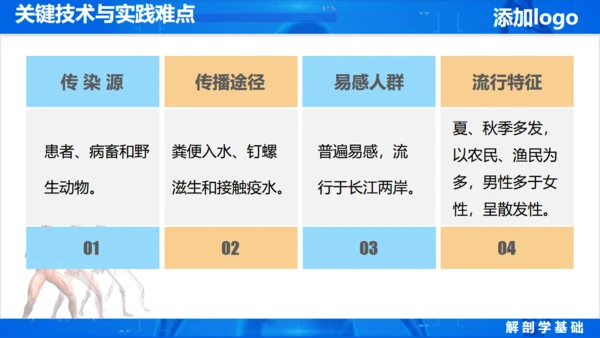 人体奥秘医学解剖学学术论文通用PPT模版