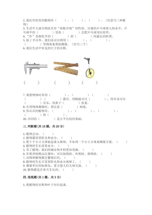 教科版一年级上册科学期末测试卷（考点梳理）.docx