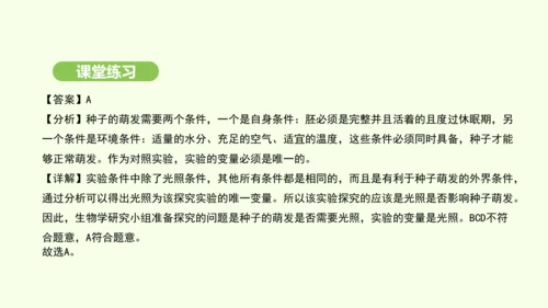 第三单元-第一章-第一节-种子的萌发课件-2024-2025学年七年级生物下学期人教版(2024)(