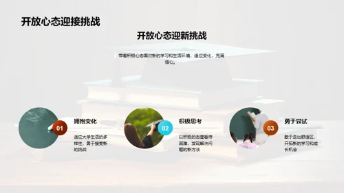 大学教育的深度解析