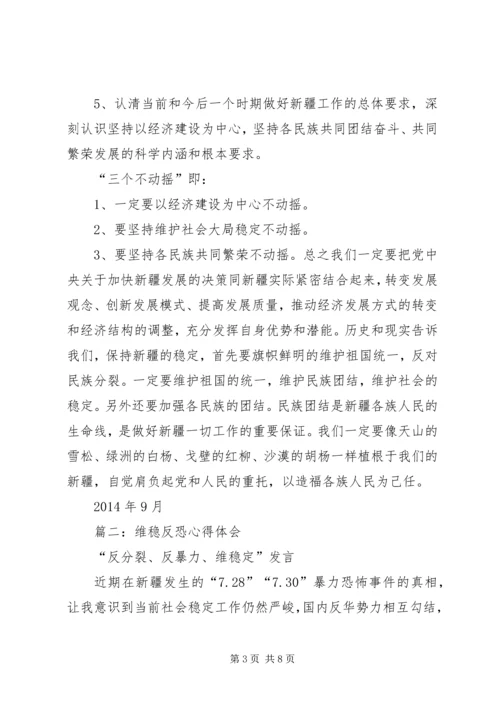 新疆维稳工作心得.docx