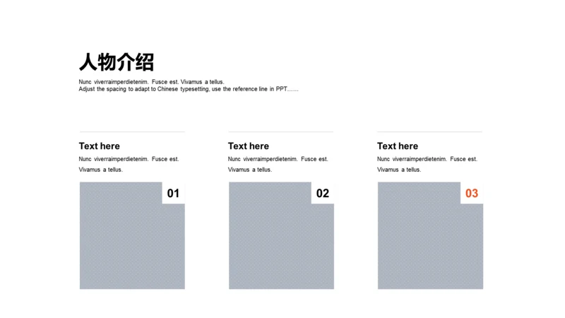 人物介绍-商务简约3项PPT