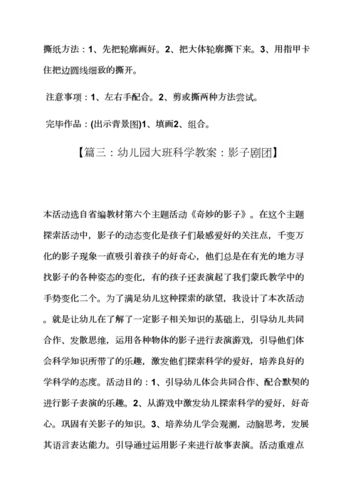影子游戏小班教案.docx