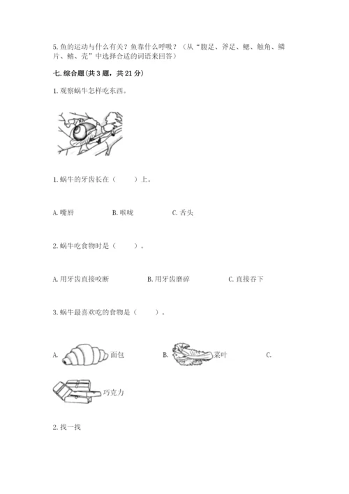 教科版一年级下册科学期末测试卷（历年真题）.docx