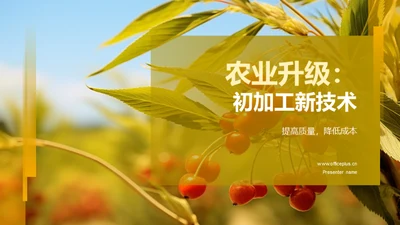 农业升级：初加工新技术