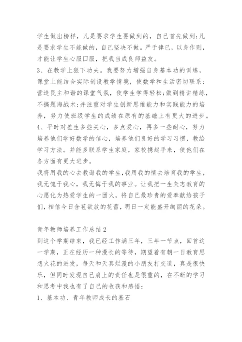 青年教师培养工作总结.docx