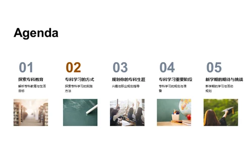 专科学习探索之旅